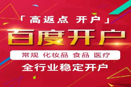 百度推广实战：成功企业的营销策略